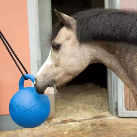 Horse Play EVA Ball with Handle - Purple