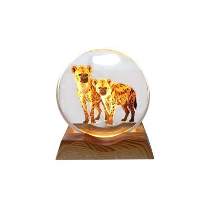 3D Creative Lamp - Hyena Illuminated Art Light