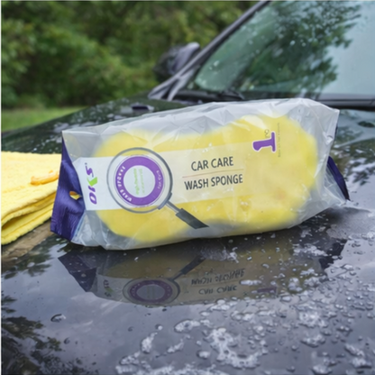 Sponge Car Wash