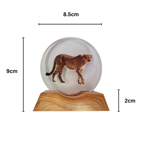 3D Creative LED Lamp - Cheetah Illuminated Art Light