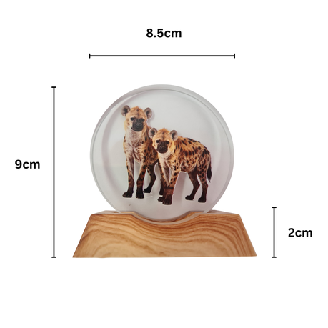 3D Creative Lamp - Hyena Illuminated Art Light