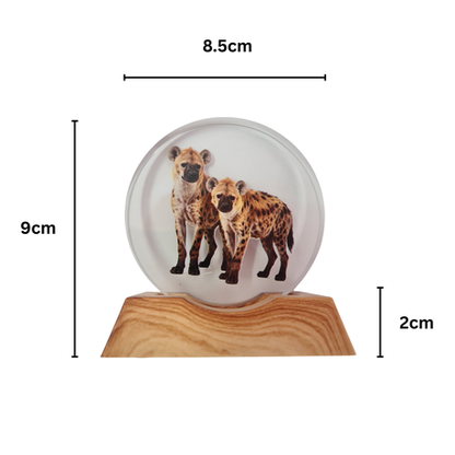 3D Creative Lamp - Hyena Illuminated Art Light