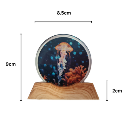 3D Creative Lamp - Jellyfish in Coral Illuminated Art Light