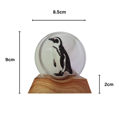 3D Creative Lamp - Penguin Illuminated Art Light