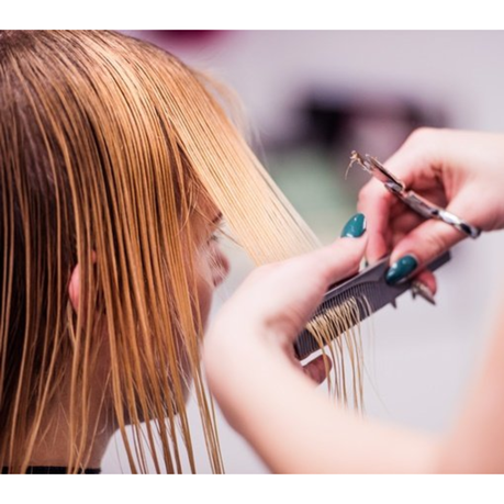 Hairdressing Scissors