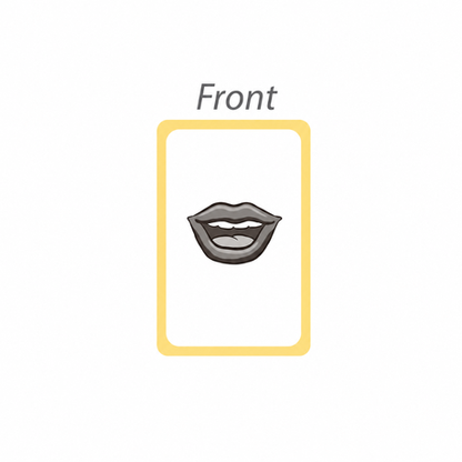 Motarro Flash Cards 36 Sheets - 2 Pack - Body Parts