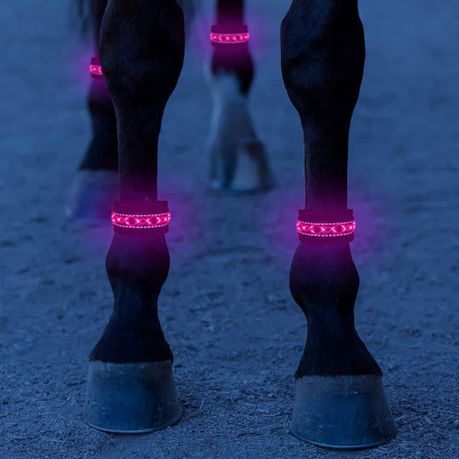 Horse LED Leg Band - Battery Powered Night Riding Band - Red