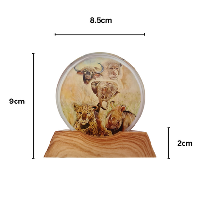 3D Creative Lamp - The Big 5 Illuminated Art Light