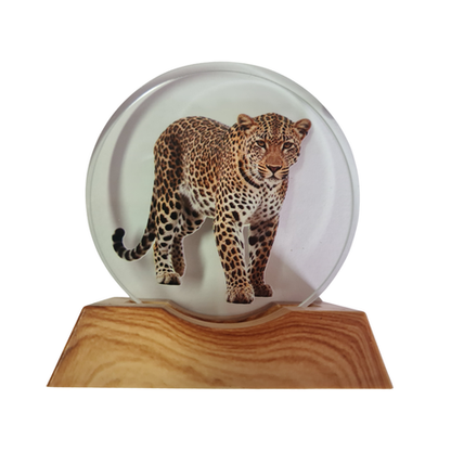 3D Creative Lamp - Leopard Illuminated Art Light