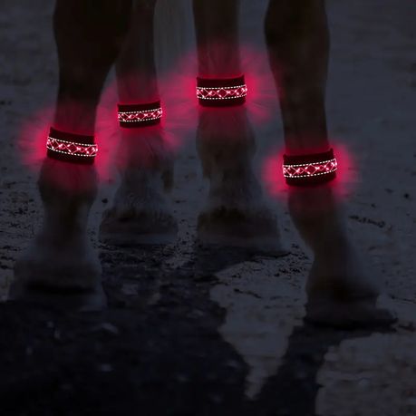 Horse LED Leg Band - Battery Powered Night Riding Band - Red