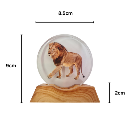 3D Creative Lamp - Lion Illuminated Art Light