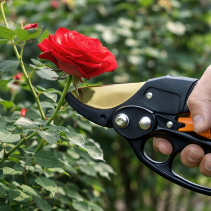 Conan - Garden Scissors - 20cm