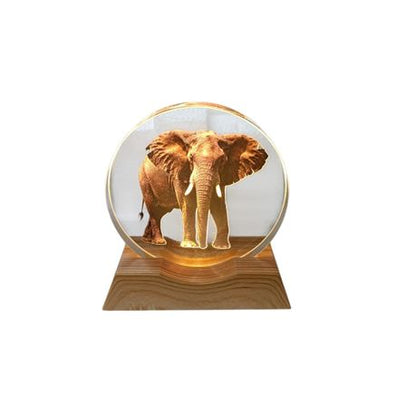 3D Creative Lamp - Elephant Illuminated Art Light