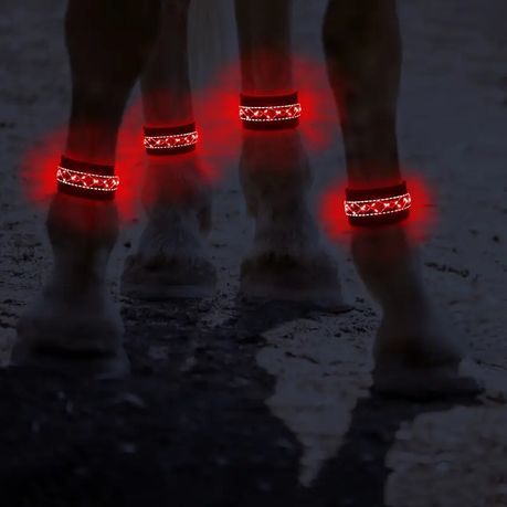 Horse LED Leg Band - Battery Powered Night Riding Band - Pink