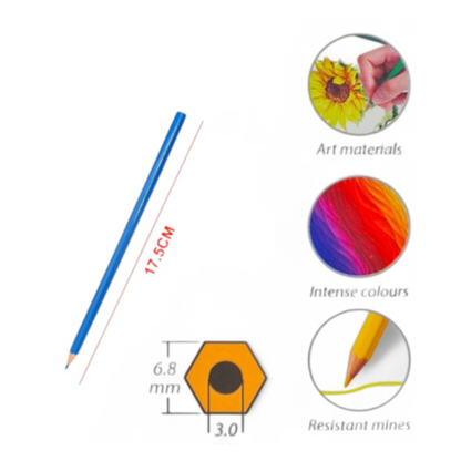 Motarro Colour Pencils -12 Colours - Pastel Colours