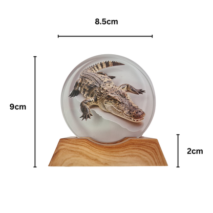 3D Creative Lamp - Crocodile Illuminated Art Light