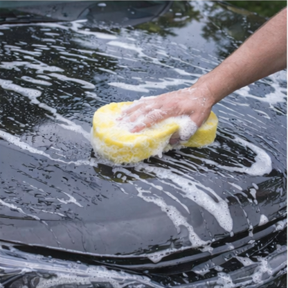 Sponge Car Wash