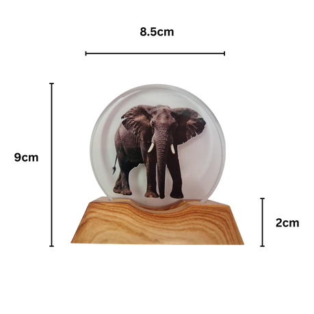 3D Creative Lamp - Elephant Illuminated Art Light