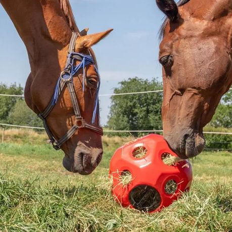 Horse Hay Toy Ball - Treat and Hay Feeder for Horses - Purple
