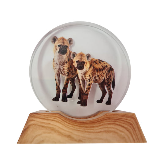 3D Creative Lamp - Hyena Illuminated Art Light