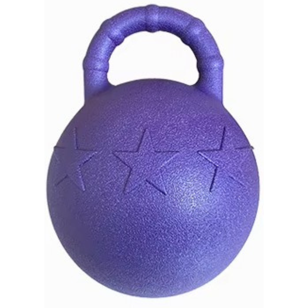 Horse Play EVA Ball with Handle - Purple