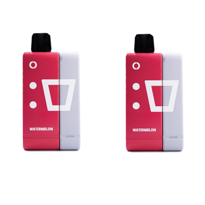 Elf Bar 9000 Puffs Rechargeable Pod Kit 50mg - Watermelon - 2 Pack
