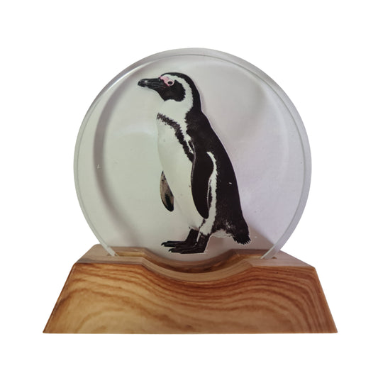 3D Creative Lamp - Penguin Illuminated Art Light