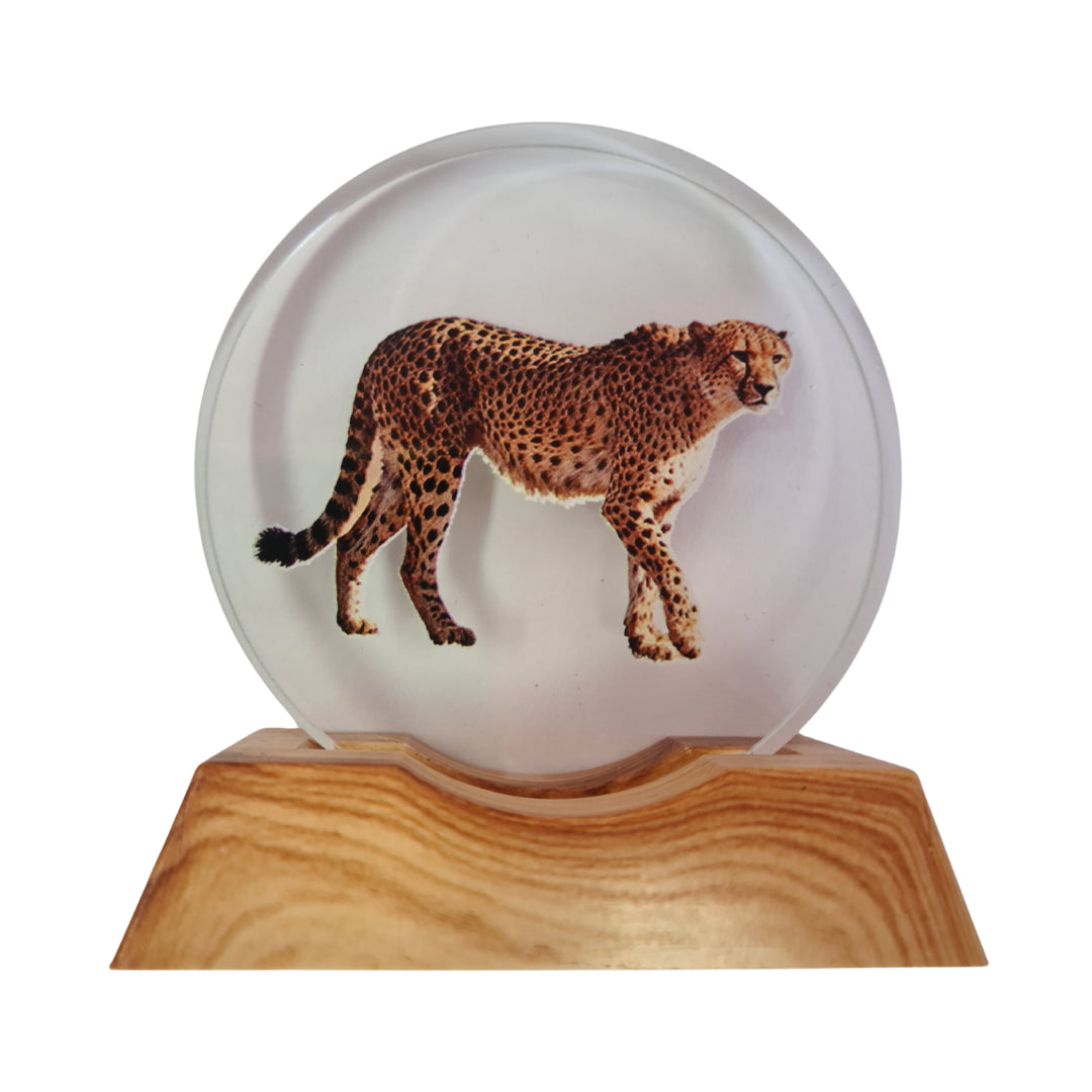 3D Creative LED Lamp - Cheetah Illuminated Art Light