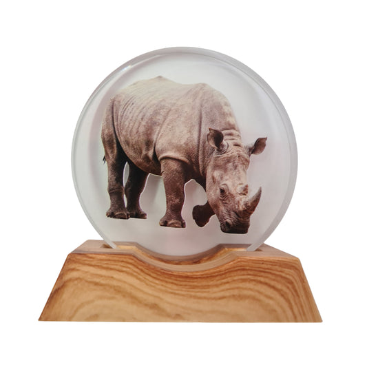 3D Creative Lamp - Rhino Illuminated Art Light