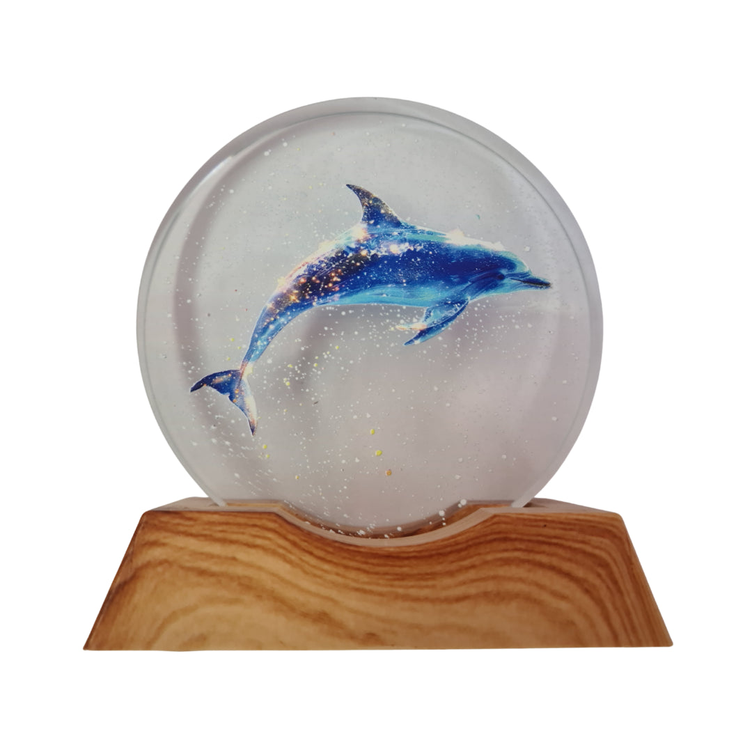 3D Creative Lamp - Dolphin Sparkles Illuminated Art Light