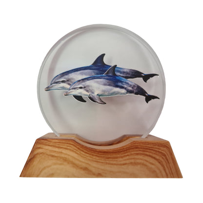 3D Creative Lamp - Dolphin Pod Illuminated Art Light