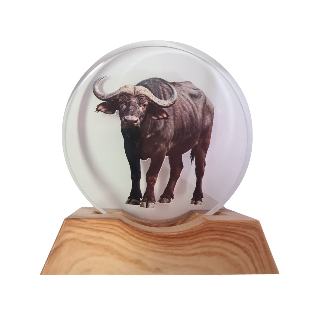 3D Creative Lamp - Buffalo Illuminated Art Light