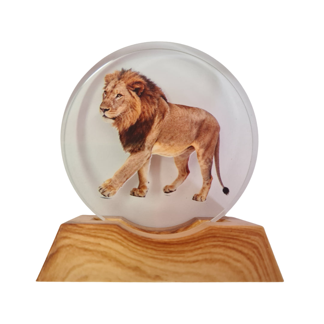 3D Creative Lamp - Lion Illuminated Art Light