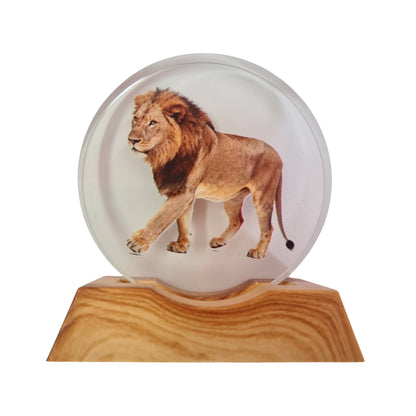 3D Creative Lamp - Lion Illuminated Art Light
