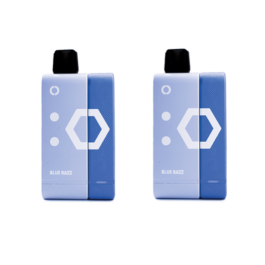 Elf Bar 9000 Puffs Rechargeable Pod Kit 50mg - Blue Razz - 2 Pack