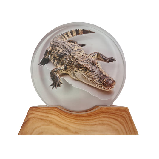 3D Creative Lamp - Crocodile Illuminated Art Light